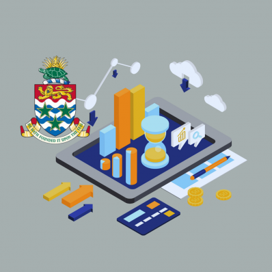 Data Analysis Report 2024